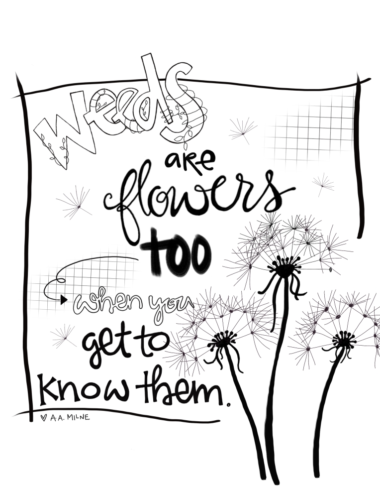 Doodle101:weeds4:SueCarroll
